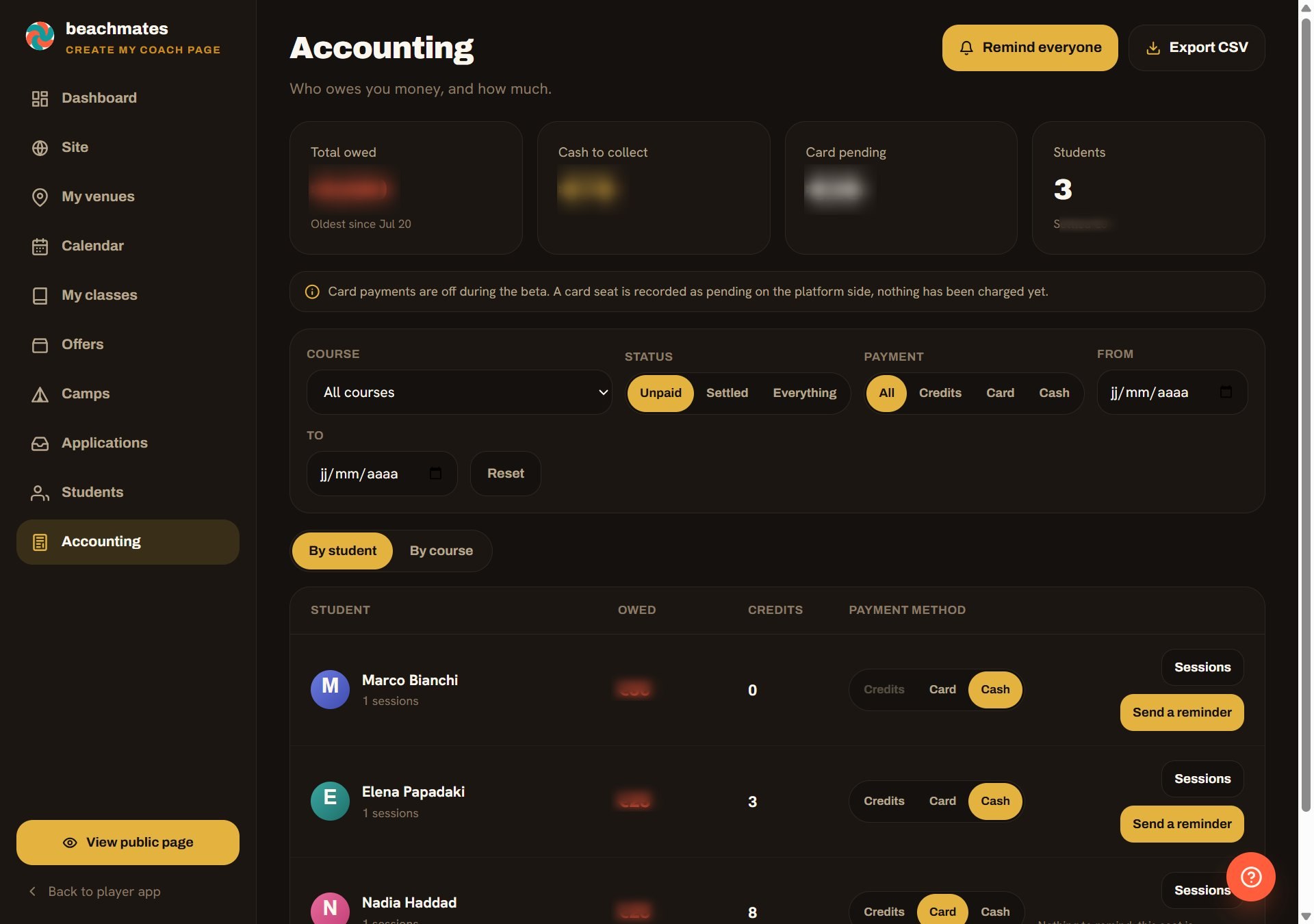 Coach accounting dashboard with balances and payment status